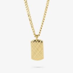 Collar Radiant Acero Dorado Hombre placa PLATE