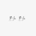 Pendientes Radiant Frost Circle acero