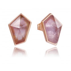 Pendientes Viceroy plata rosa 925