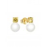 Pendientes Viceroy Fashion plata 925